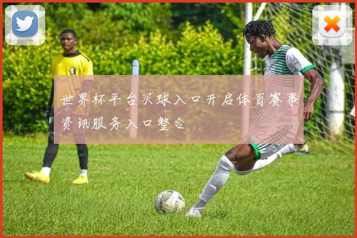 世界杯平台买球入口开启体育赛事资讯服务入口整合