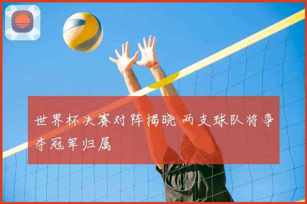 世界杯决赛对阵揭晓 两支球队将争夺冠军归属