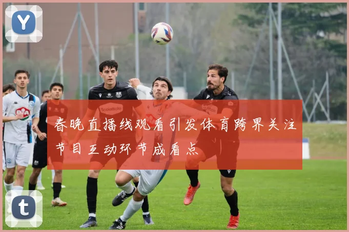 春晚直播线观看引发体育跨界关注节目互动环节成看点