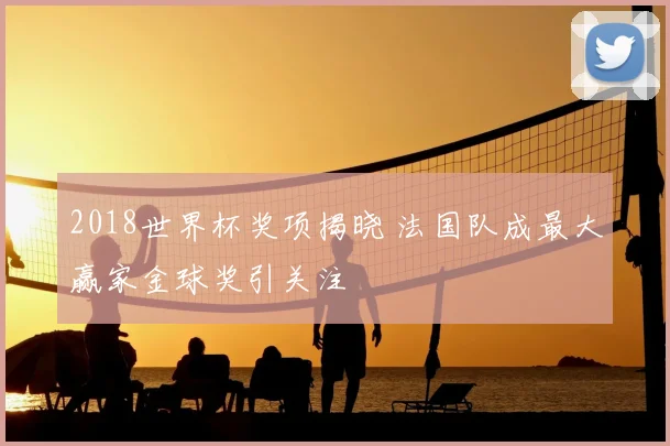 2018世界杯奖项揭晓 法国队成最大赢家金球奖引关注