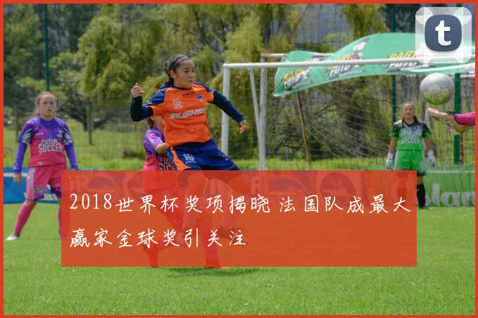 2018世界杯奖项揭晓 法国队成最大赢家金球奖引关注